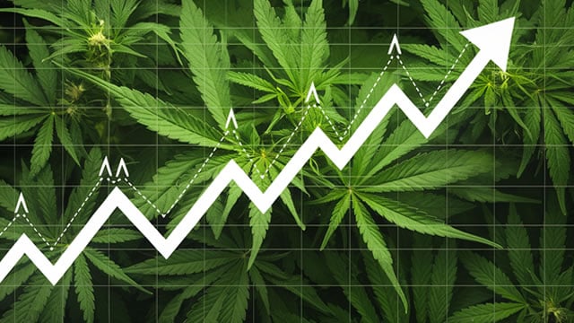 Logo for news article #2 (Canopy Growth Corporation (CGC) Registers a Bigger Fall Than the Market: Important Facts to Note)