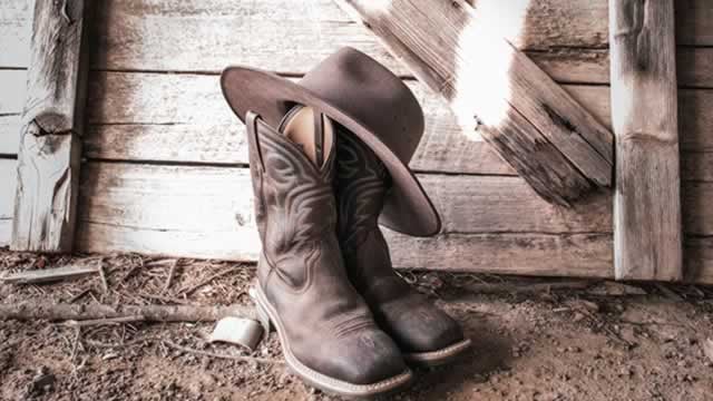 Logo for news article #2 (Boot Barn: Valuation Doesn't Support Guided H2 Deceleration)