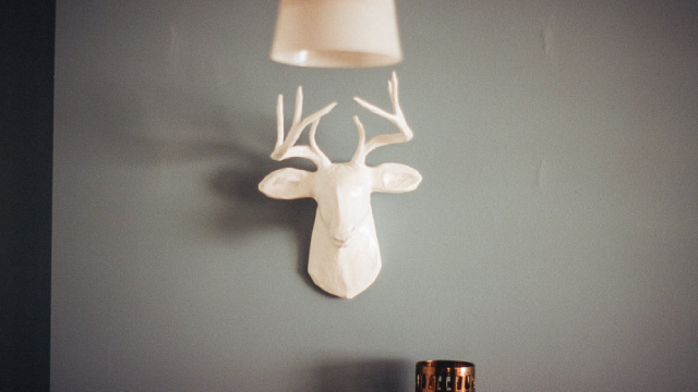 Logo for news article #2 (Bed Bath & Beyond names insider Marcus Lemonis as CEO)