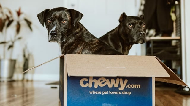 Logo for news article #1 (Why Chewy (CHWY) Outpaced the Stock Market Today)
