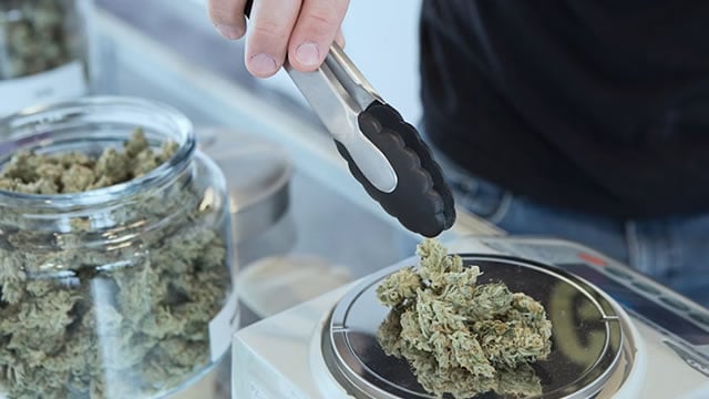 Logo for news article #0 (Canopy Growth Corporation (CGC) Falls More Steeply Than Broader Market: What Investors Need to Know)