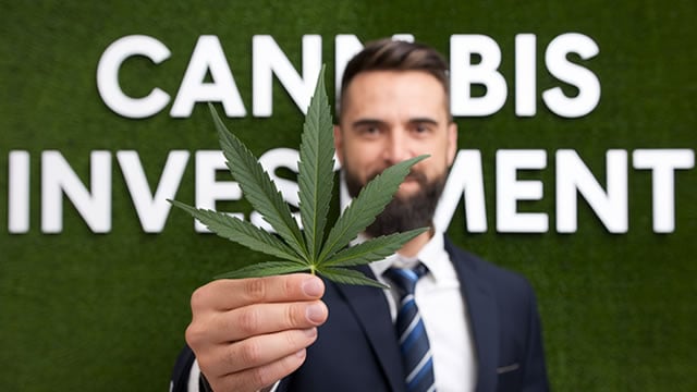 Logo for news article #1 (3 Top Canadian Marijuana Stock Choices For A Possible Breakout In 2025)