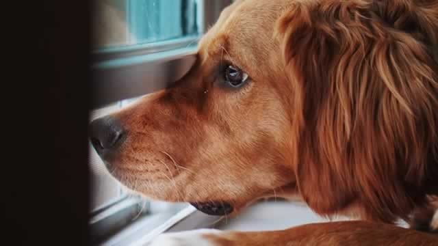 Logo for news article #2 (Why Central Garden (CENT) is Poised to Beat Earnings Estimates Again)