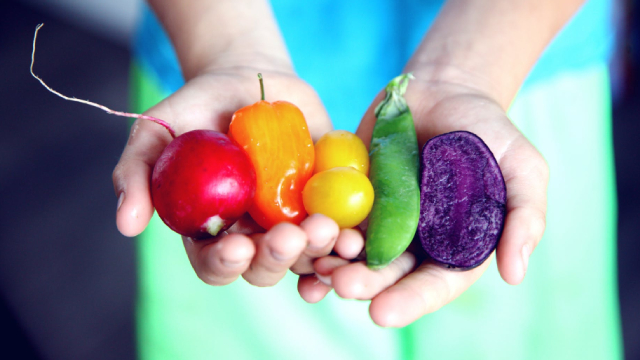 Logo for news article #1 (3 Dividend Stocks That Could Be Easy Wealth Builders)