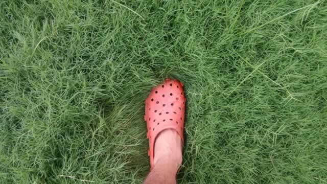 Logo for news article #2 (Crocs Could Turn The Corner As Analyst Sees Tariff Pain Hitting Its Peak)