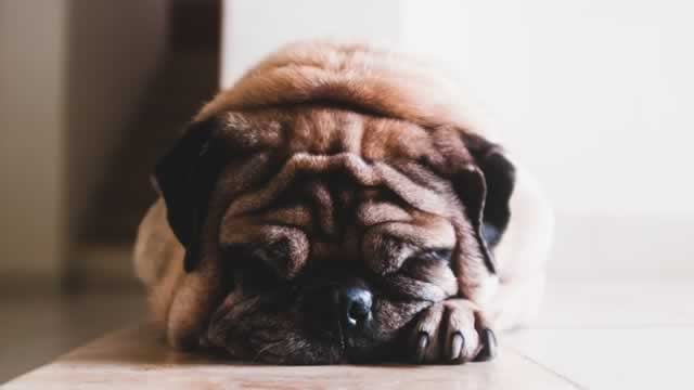 Logo for news article #1 (Why Is Central Garden (CENT) Down 5.6% Since Last Earnings Report?)