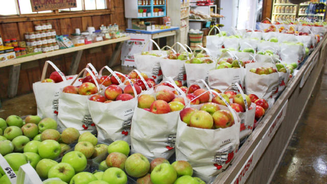 Logo for news article #1 (Costco & 3 More Retail Discount Stocks to Watch This Holiday Season)