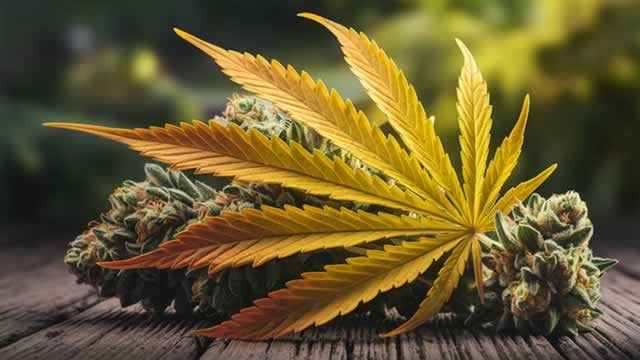 Logo for news article #0 (3 Marijuana Stocks For The Long Term Investing)