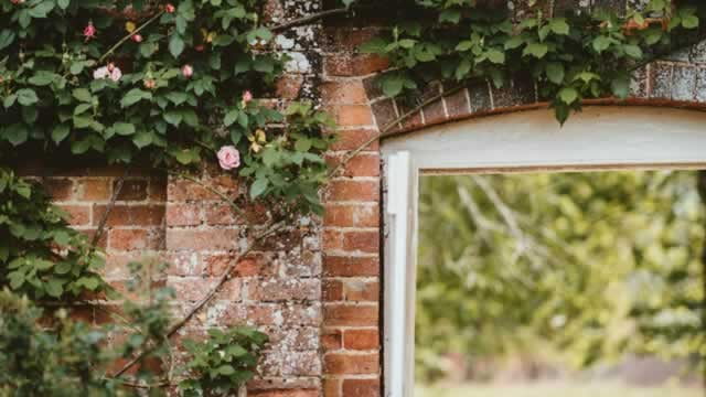 Logo for news article #2 (Central Garden (CENTA) Upgraded to Strong Buy: Here's What You Should Know)