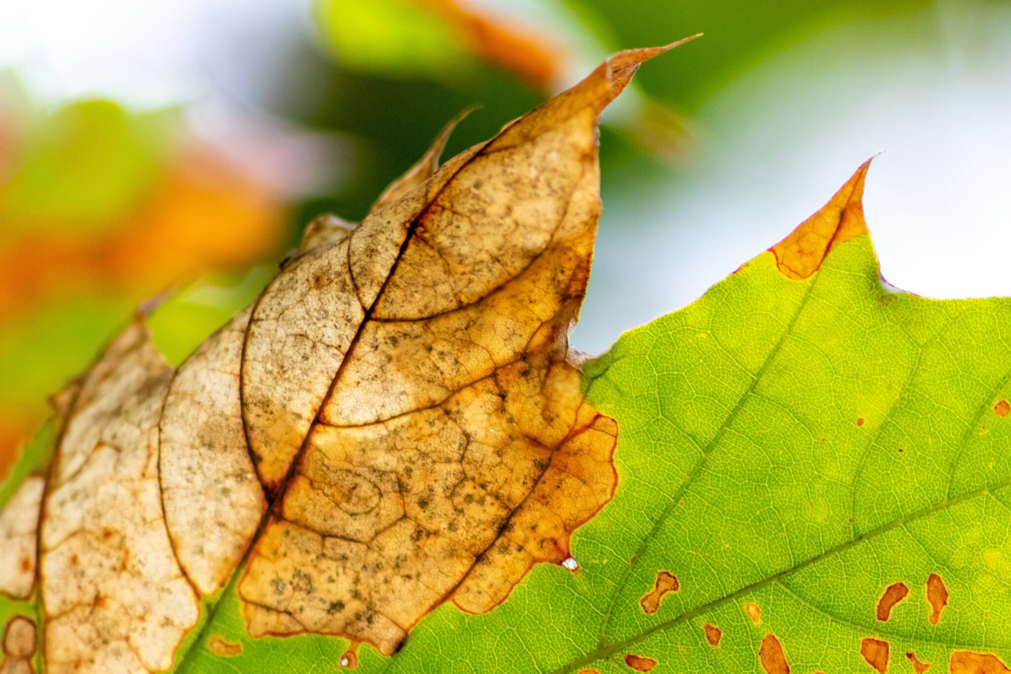 blog post cover image