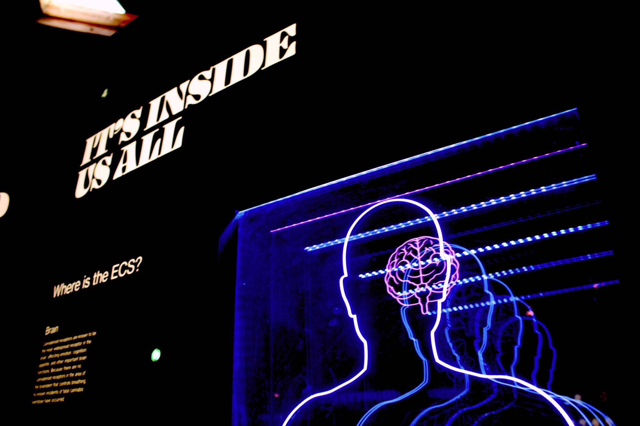 blog post cover image