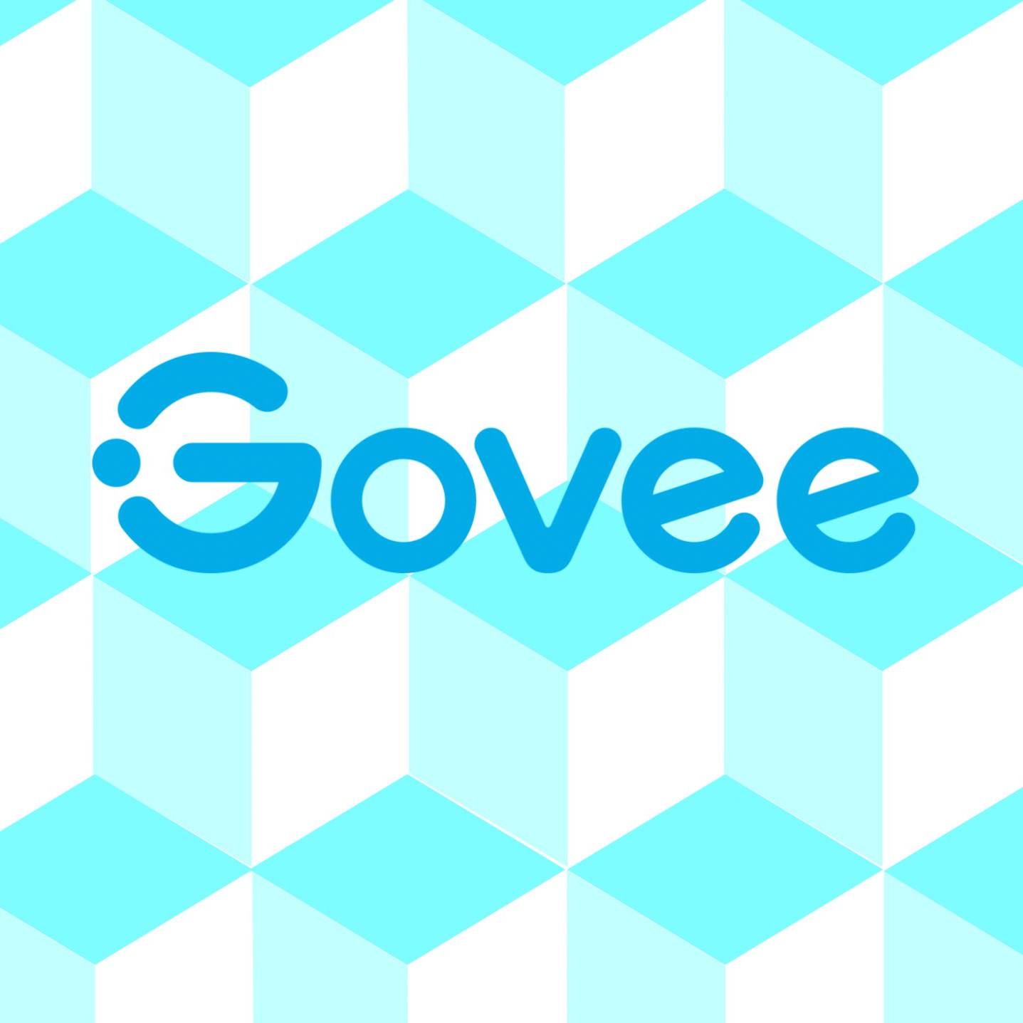 Logo for cashback partner (Govee)